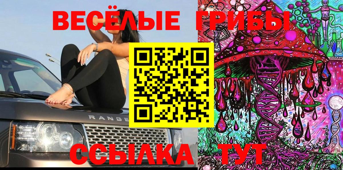 Псилоцибиновые грибы ЛСД  Вход с VPN  Котельники 