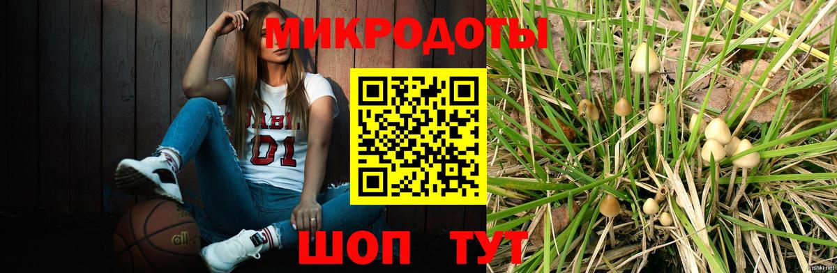 Галлюциногенные грибы Psilocybe Котельники